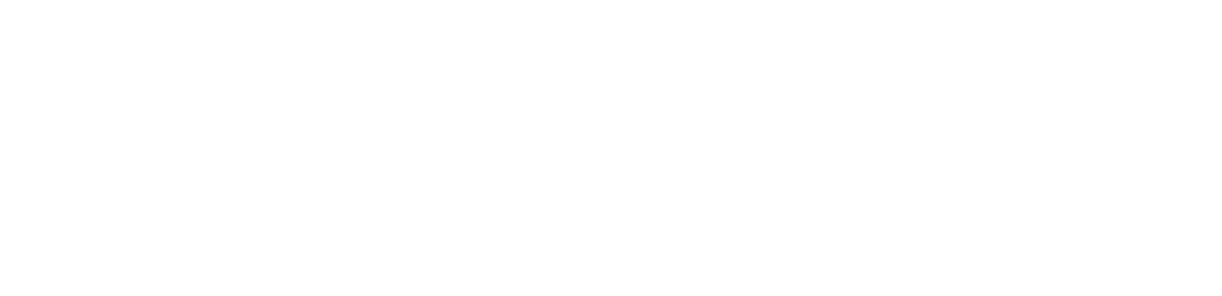 Skinbjerg Auto + Leasing logo